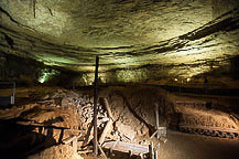 Mammoth Cave National Park, KY