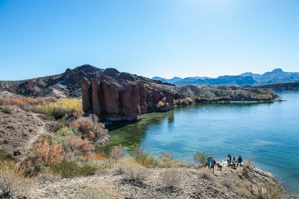 Cattail Cove: Arizona's Hidden Gem on the Colorado River