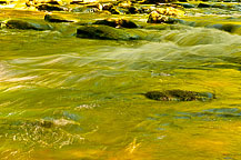 Chittenango Creek