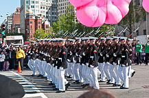 Cherry Blossom Parade Day