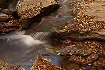Fall Colors, Rickets Glen State Park, Pennsylvania