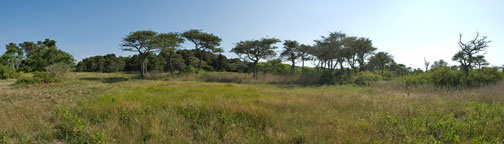 Nantucket Panorama