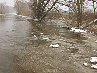 Flooding on Lakeshore Road