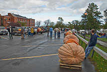 Oswego Pumpkinfest