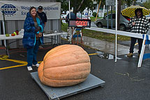 Oswego Pumpkin Fest