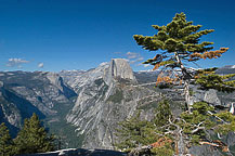 Yosemie National Park