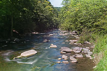 Chittenango Creek