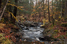 Stream Near Christine Falls, Adirondacks, NY
