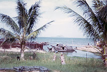 Viet Nam Photos